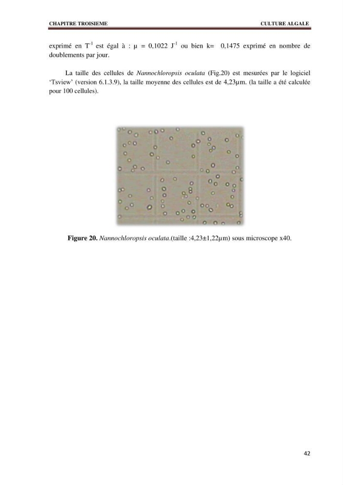Quelques indices biologiques de Mytilus galloprovincialis (Lamarck, 1819), mollusque bivalve à potentialité mytilicole