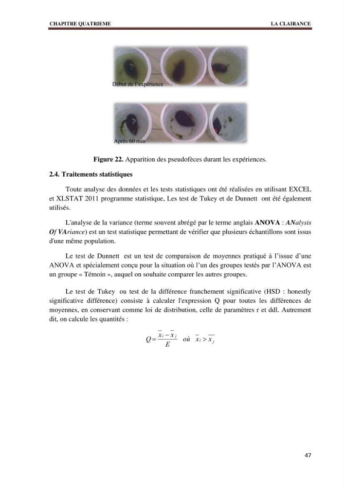 Quelques indices biologiques de Mytilus galloprovincialis (Lamarck, 1819), mollusque bivalve à potentialité mytilicole