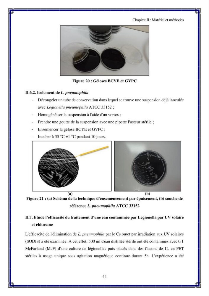 Valorisation biotechnologique des coproduits de crustacés: étude de l\'efficacité du traitement avec du chitosane de l\'irradiation UV dans l\'élimination de Légionella pneumophila