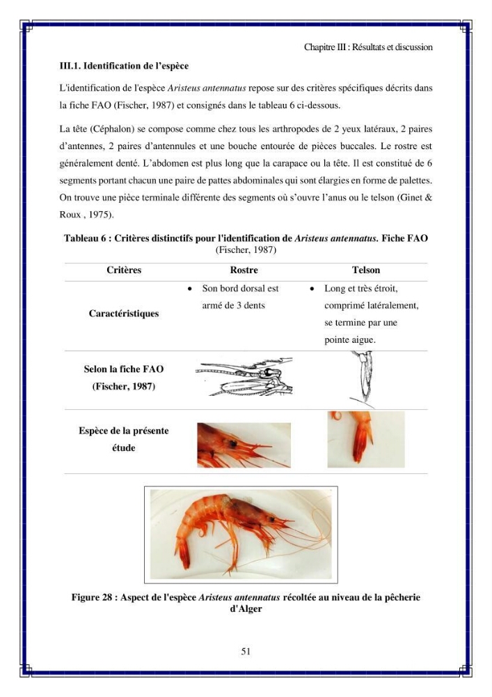 Valorisation biotechnologique des coproduits de crustacés: étude de l\'efficacité du traitement avec du chitosane de l\'irradiation UV dans l\'élimination de Légionella pneumophila