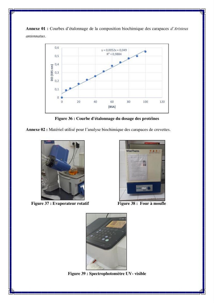 Valorisation biotechnologique des coproduits de crustacés: étude de l\'efficacité du traitement avec du chitosane de l\'irradiation UV dans l\'élimination de Légionella pneumophila