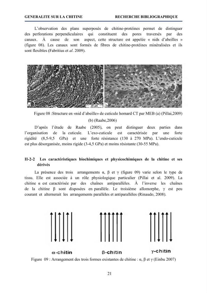 Mise au point d\'un protocole d\'extraction assistée aux micro-ondes du chitosane à partir de carapaces de crevettes