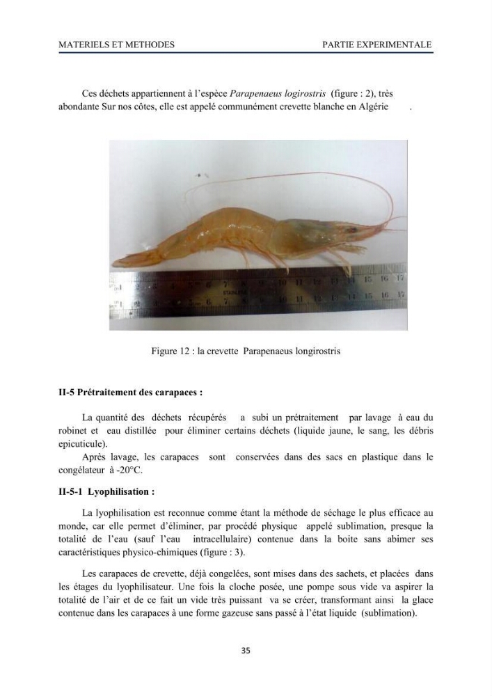 Mise au point d\'un protocole d\'extraction assistée aux micro-ondes du chitosane à partir de carapaces de crevettes