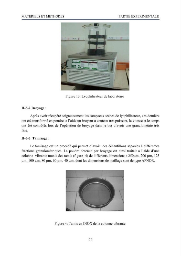 Mise au point d\'un protocole d\'extraction assistée aux micro-ondes du chitosane à partir de carapaces de crevettes