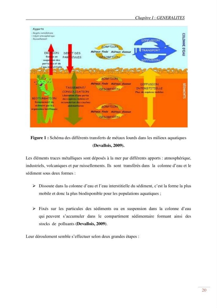 Evaluation de la pollution dans la baie de Bou-ismail