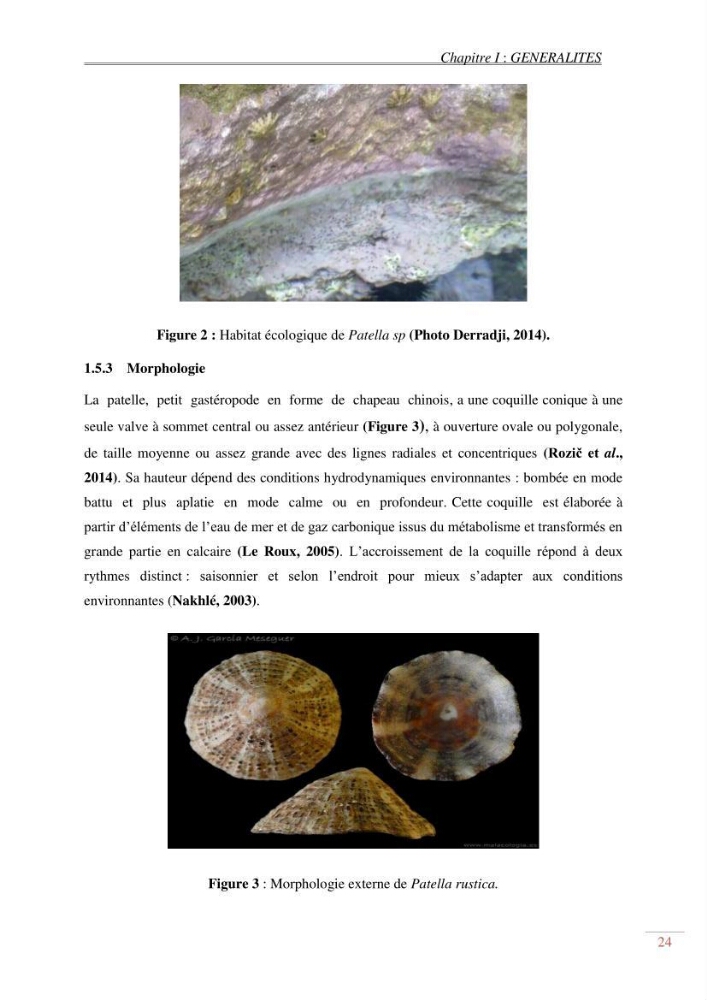 Evaluation de la pollution dans la baie de Bou-ismail