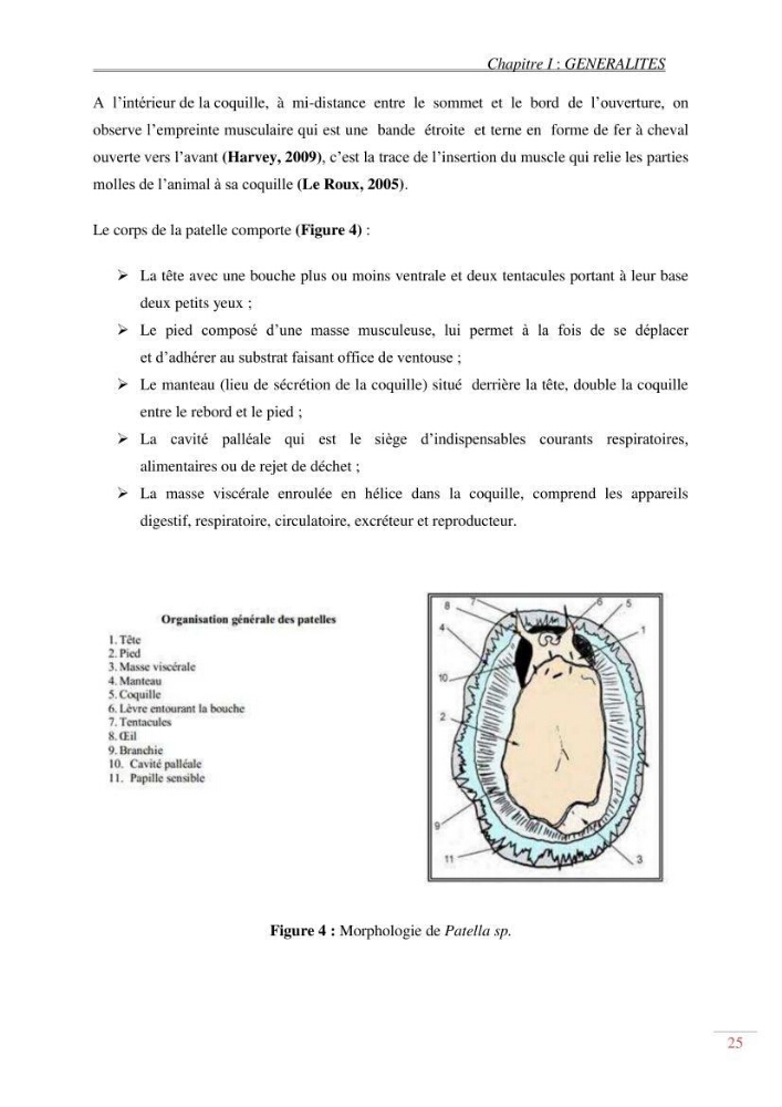 Evaluation de la pollution dans la baie de Bou-ismail