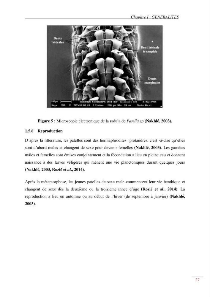 Evaluation de la pollution dans la baie de Bou-ismail