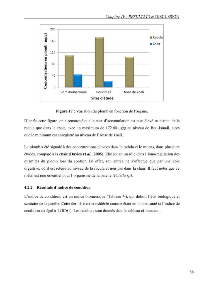 Evaluation de la pollution dans la baie de Bou-ismail