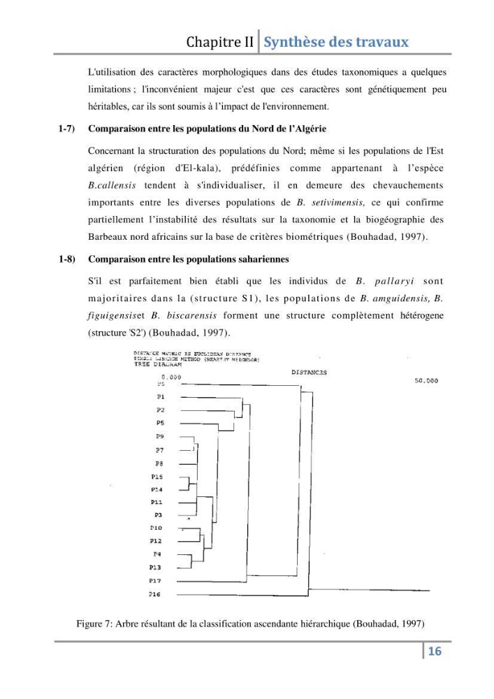 Le genre Barbus en Algérie