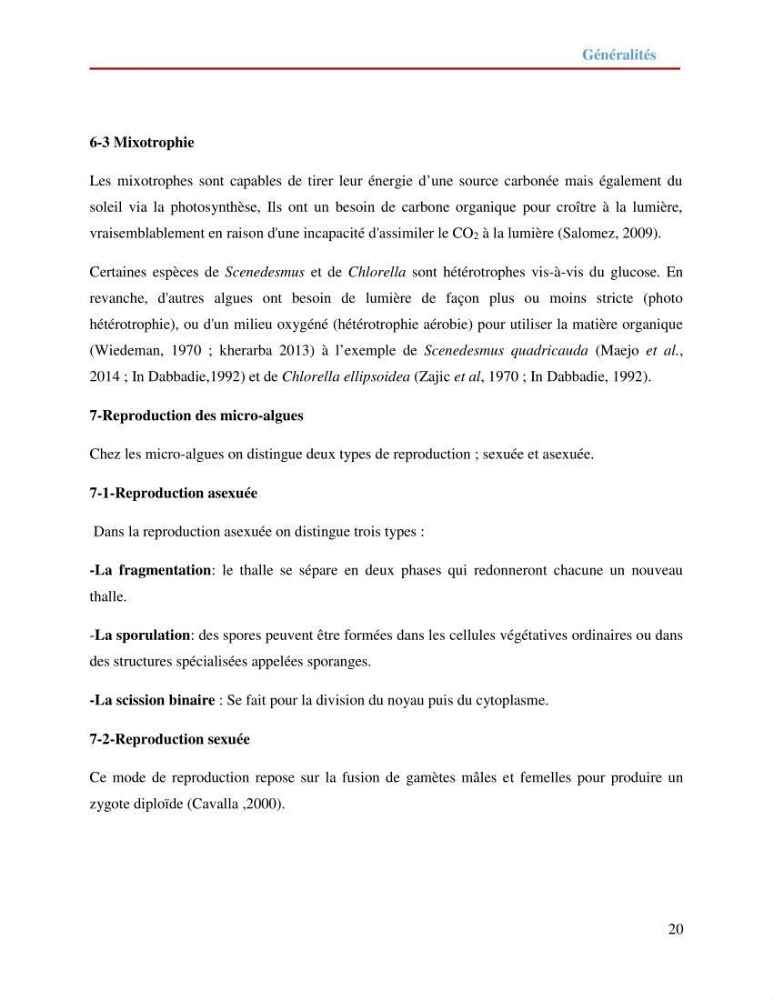 Contribution à la mise en culture des micro-algues ( Chlorella sp et Scenedemus sp): Identification, purification et culture en batch