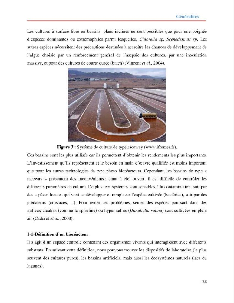 Contribution à la mise en culture des micro-algues ( Chlorella sp et Scenedemus sp): Identification, purification et culture en batch