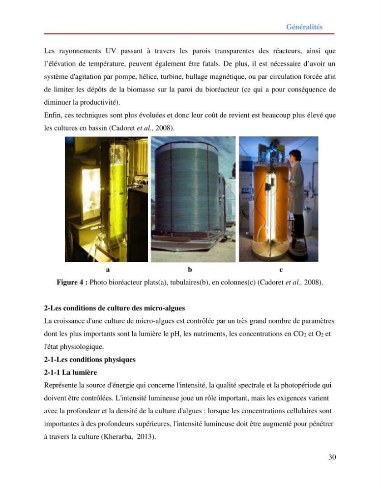Contribution à la mise en culture des micro-algues ( Chlorella sp et Scenedemus sp): Identification, purification et culture en batch