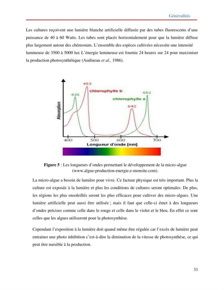 Contribution à la mise en culture des micro-algues ( Chlorella sp et Scenedemus sp): Identification, purification et culture en batch