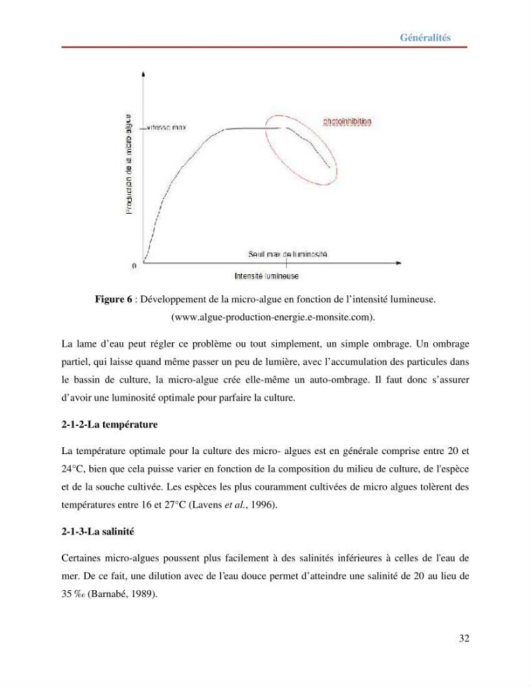 Contribution à la mise en culture des micro-algues ( Chlorella sp et Scenedemus sp): Identification, purification et culture en batch