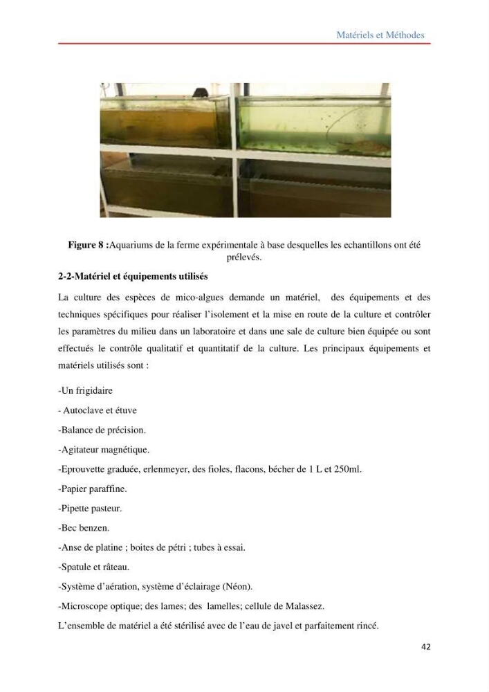 Contribution à la mise en culture des micro-algues ( Chlorella sp et Scenedemus sp): Identification, purification et culture en batch