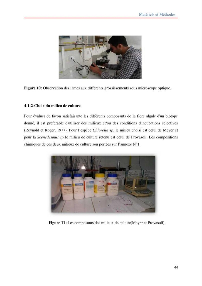 Contribution à la mise en culture des micro-algues ( Chlorella sp et Scenedemus sp): Identification, purification et culture en batch