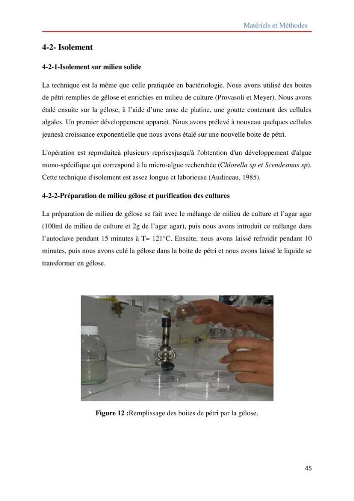 Contribution à la mise en culture des micro-algues ( Chlorella sp et Scenedemus sp): Identification, purification et culture en batch