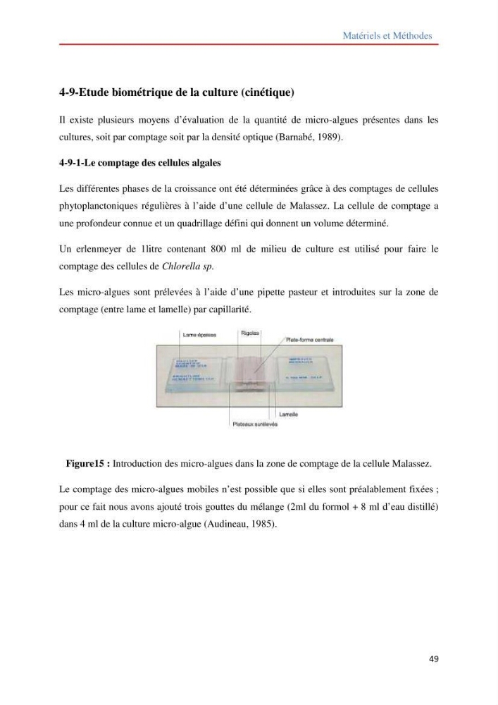 Contribution à la mise en culture des micro-algues ( Chlorella sp et Scenedemus sp): Identification, purification et culture en batch