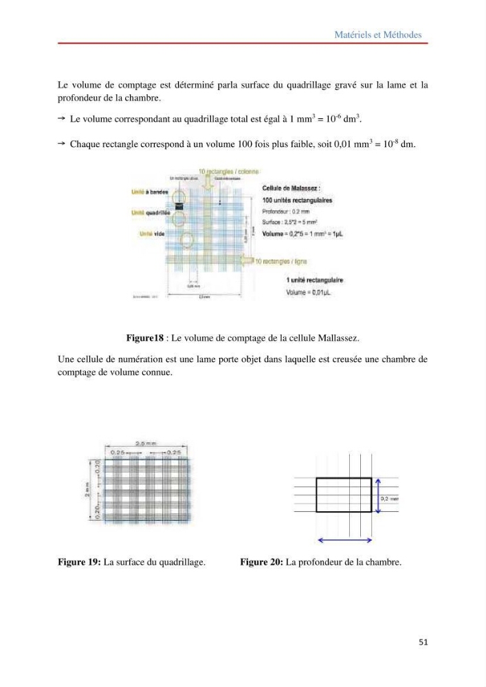 Contribution à la mise en culture des micro-algues ( Chlorella sp et Scenedemus sp): Identification, purification et culture en batch