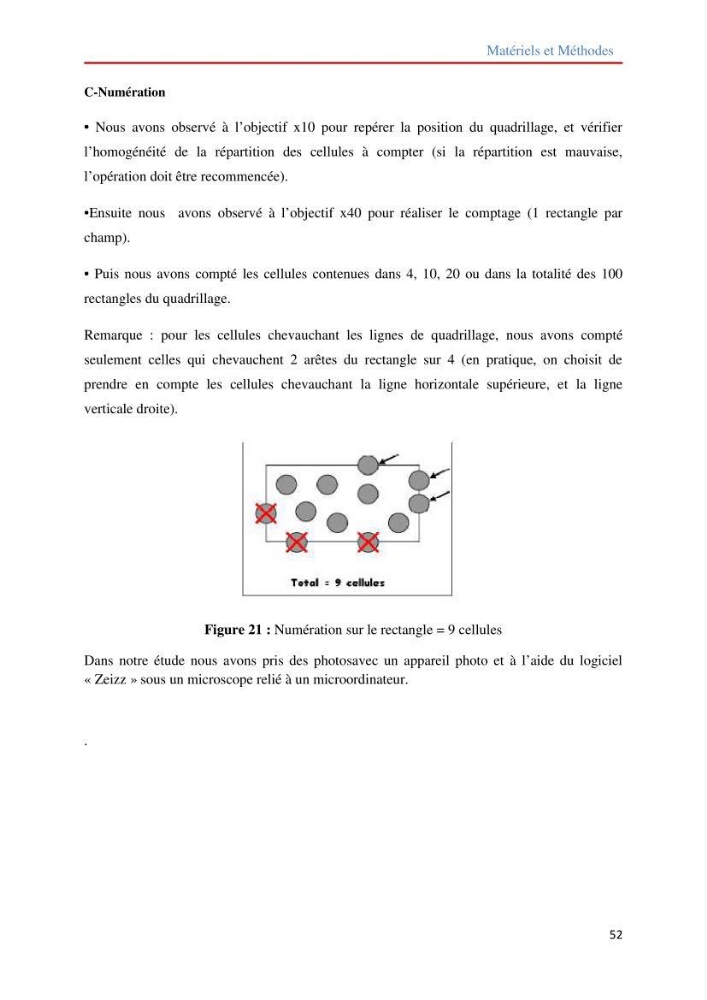 Contribution à la mise en culture des micro-algues ( Chlorella sp et Scenedemus sp): Identification, purification et culture en batch