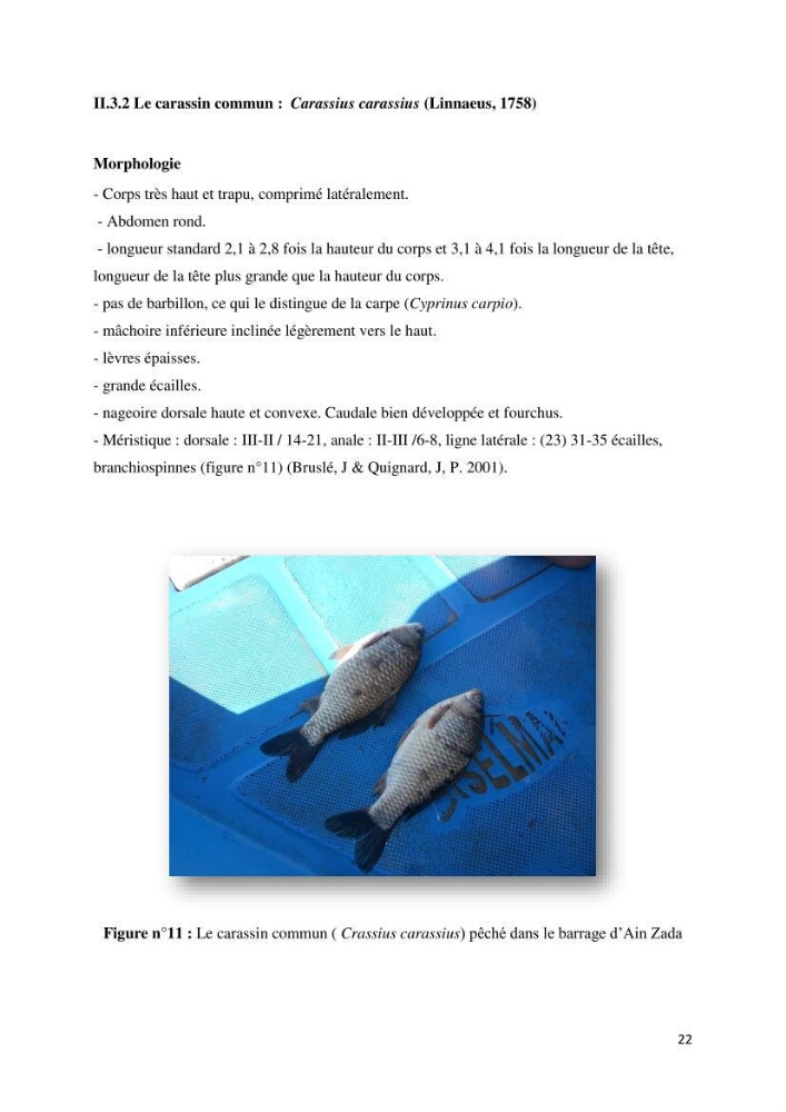 Estimation de niveau d\'exploitation de la ressource halieutique dans le barrage d\'Ain Zada: