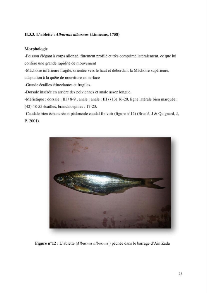Estimation de niveau d\'exploitation de la ressource halieutique dans le barrage d\'Ain Zada: