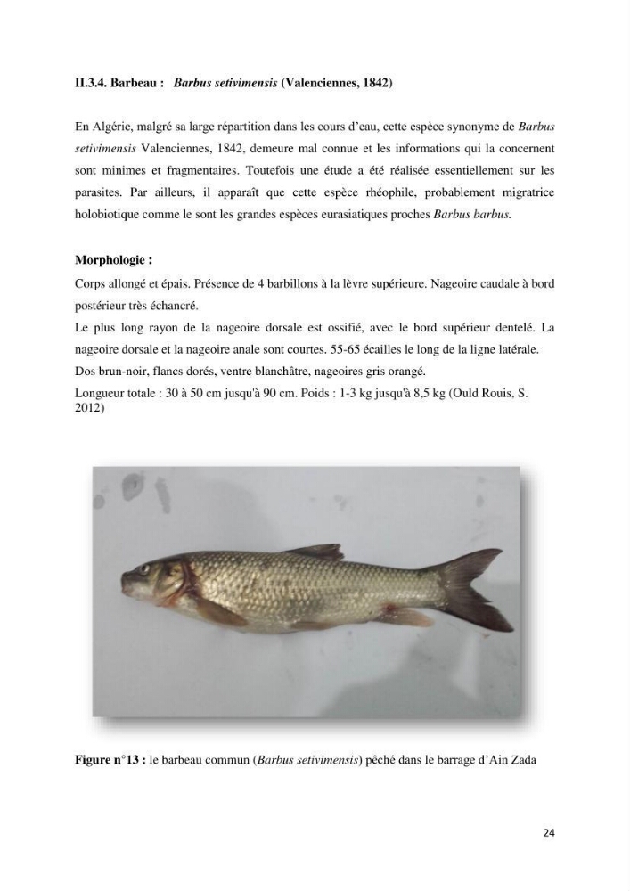 Estimation de niveau d\'exploitation de la ressource halieutique dans le barrage d\'Ain Zada: