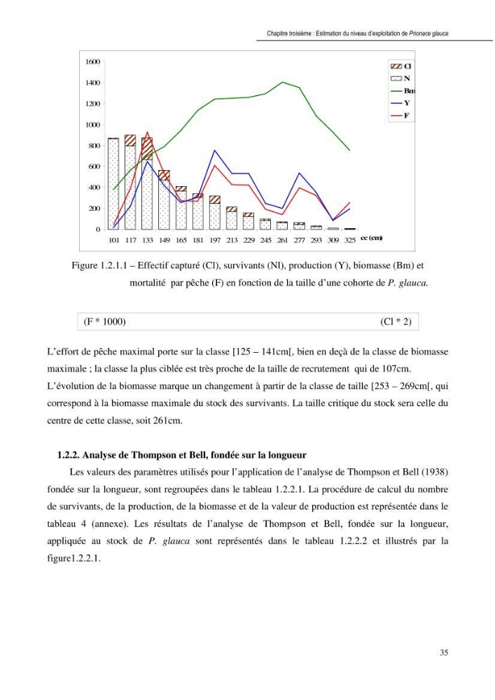 Contribution à l\'étude de la systématique et de l\'exploitation de quelques requins pélagiques du bassin Algérien