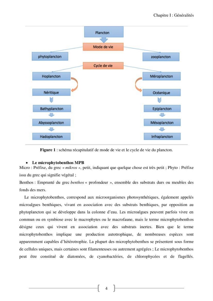 Biodiversité et composition du phytoplancton et du microphytobenthos de la côte Est Algéroise