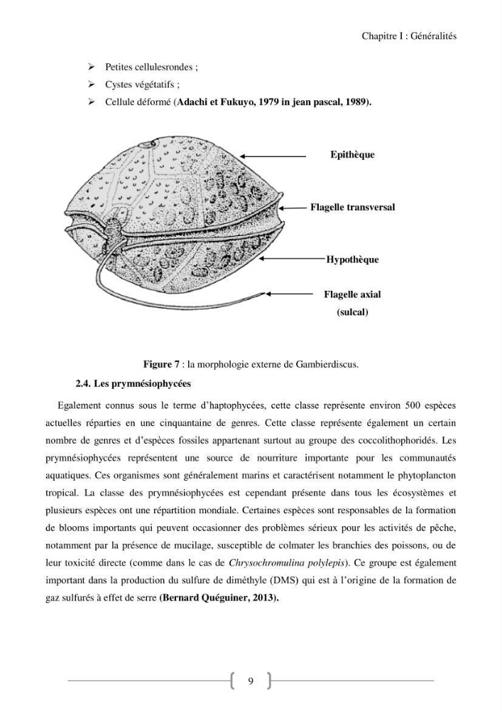 Biodiversité et composition du phytoplancton et du microphytobenthos de la côte Est Algéroise