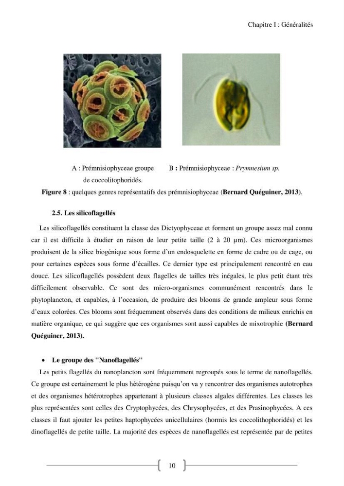Biodiversité et composition du phytoplancton et du microphytobenthos de la côte Est Algéroise