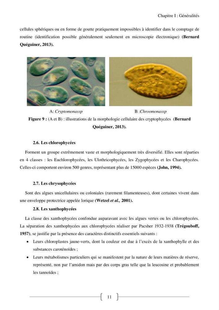 Biodiversité et composition du phytoplancton et du microphytobenthos de la côte Est Algéroise