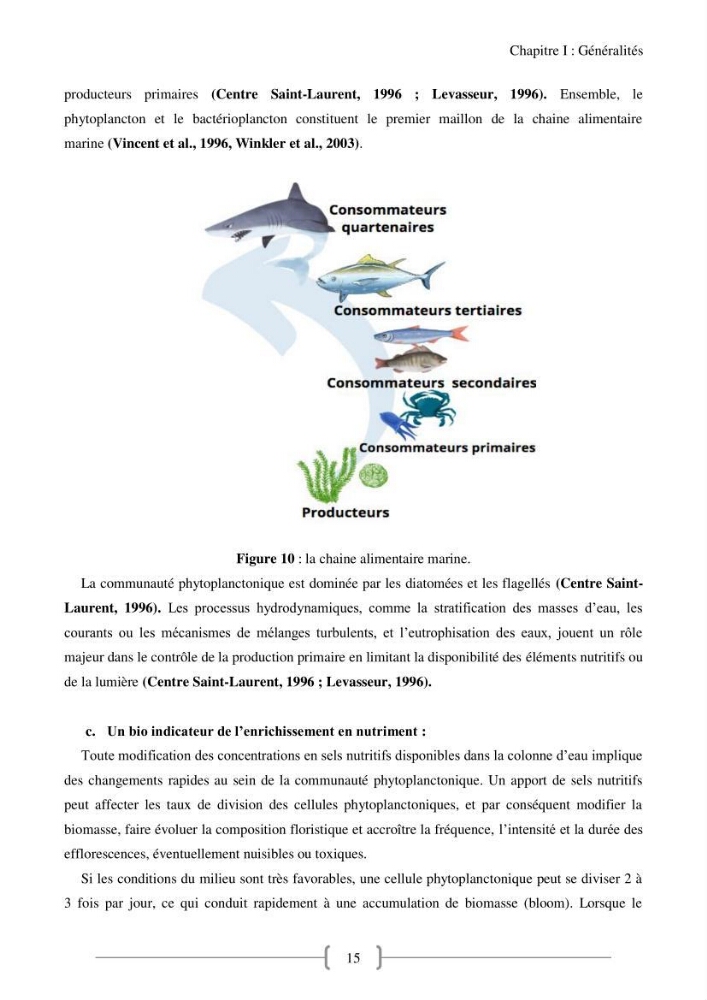 Biodiversité et composition du phytoplancton et du microphytobenthos de la côte Est Algéroise