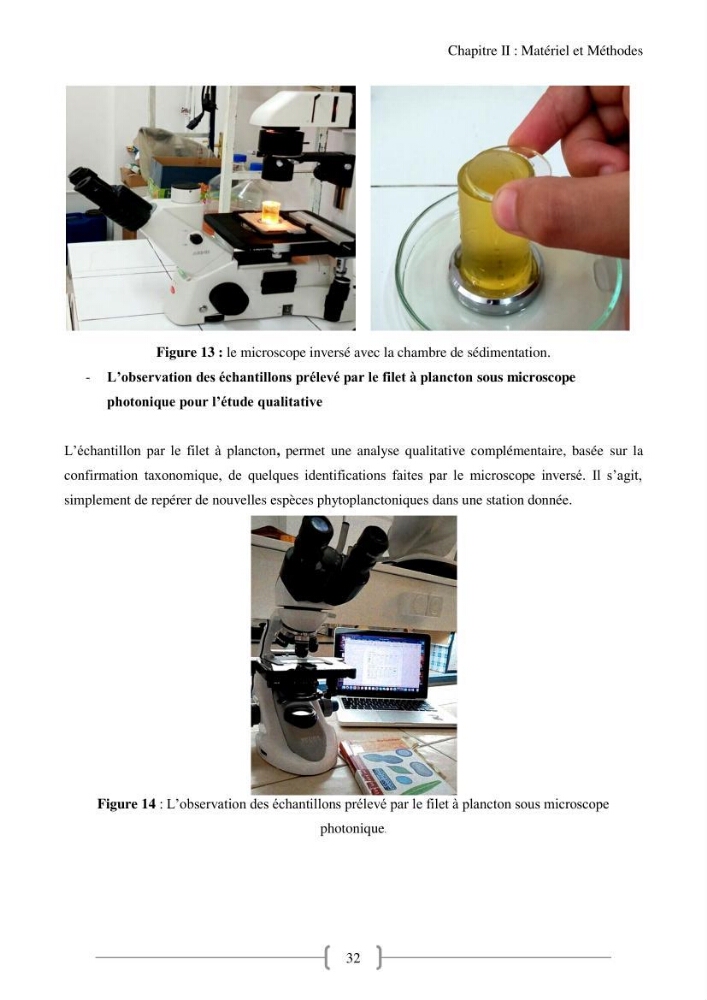 Biodiversité et composition du phytoplancton et du microphytobenthos de la côte Est Algéroise