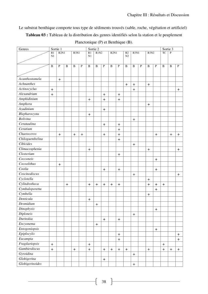 Biodiversité et composition du phytoplancton et du microphytobenthos de la côte Est Algéroise