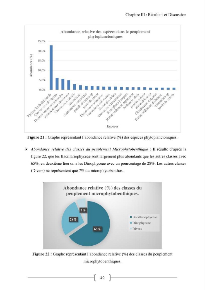 Biodiversité et composition du phytoplancton et du microphytobenthos de la côte Est Algéroise