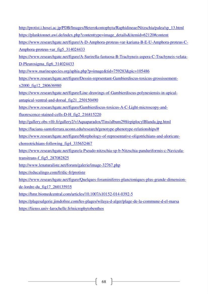 Biodiversité et composition du phytoplancton et du microphytobenthos de la côte Est Algéroise