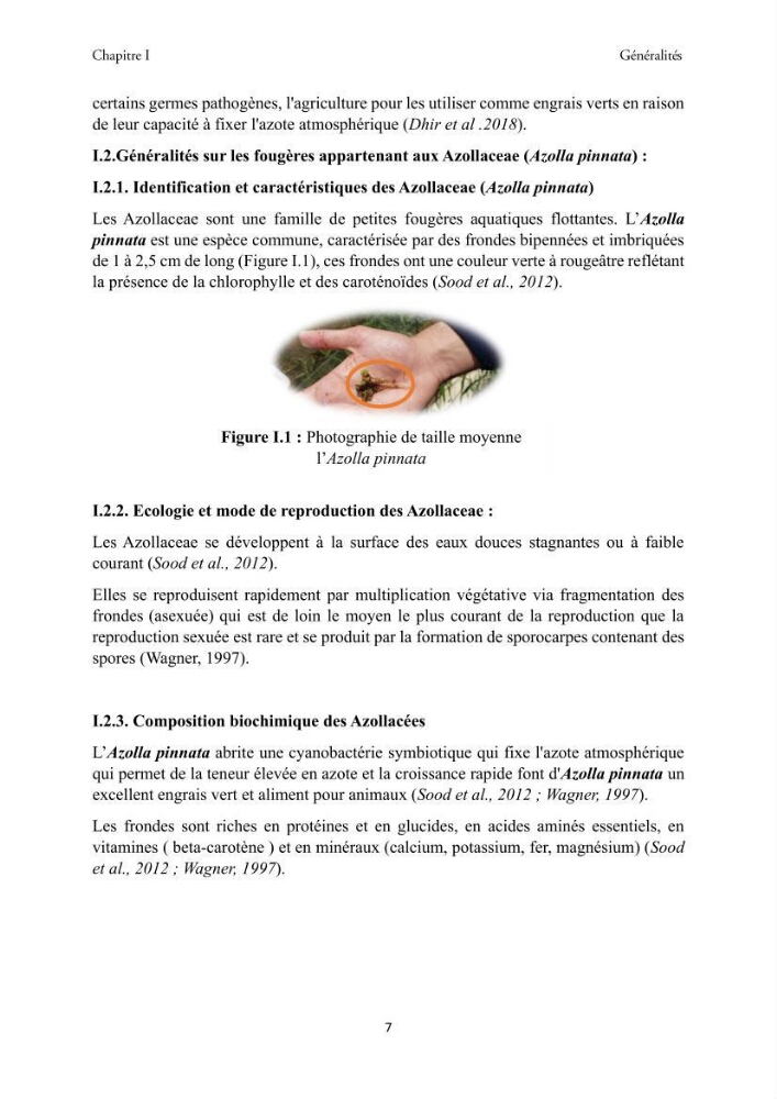 Détermination des propriétés antioxydantes et antimicrobiennes d\'une plante aquatique l’Azolla pinnata en vue de sa valorisation