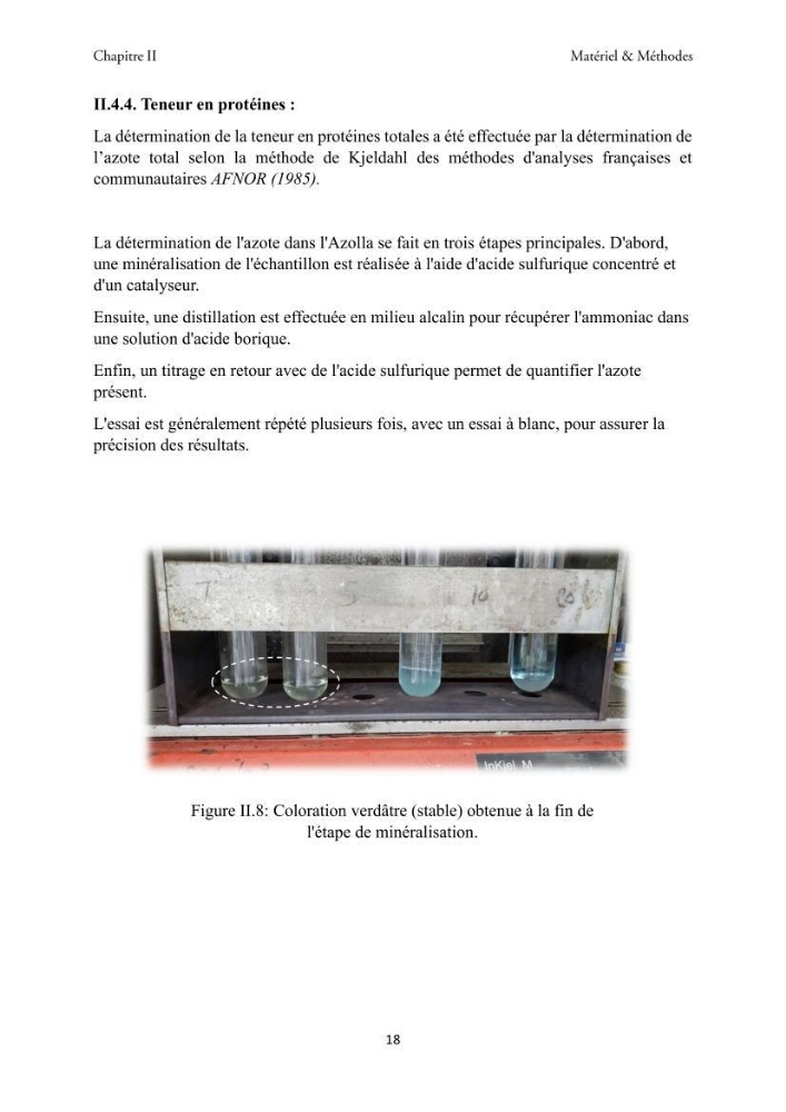 Détermination des propriétés antioxydantes et antimicrobiennes d\'une plante aquatique l’Azolla pinnata en vue de sa valorisation