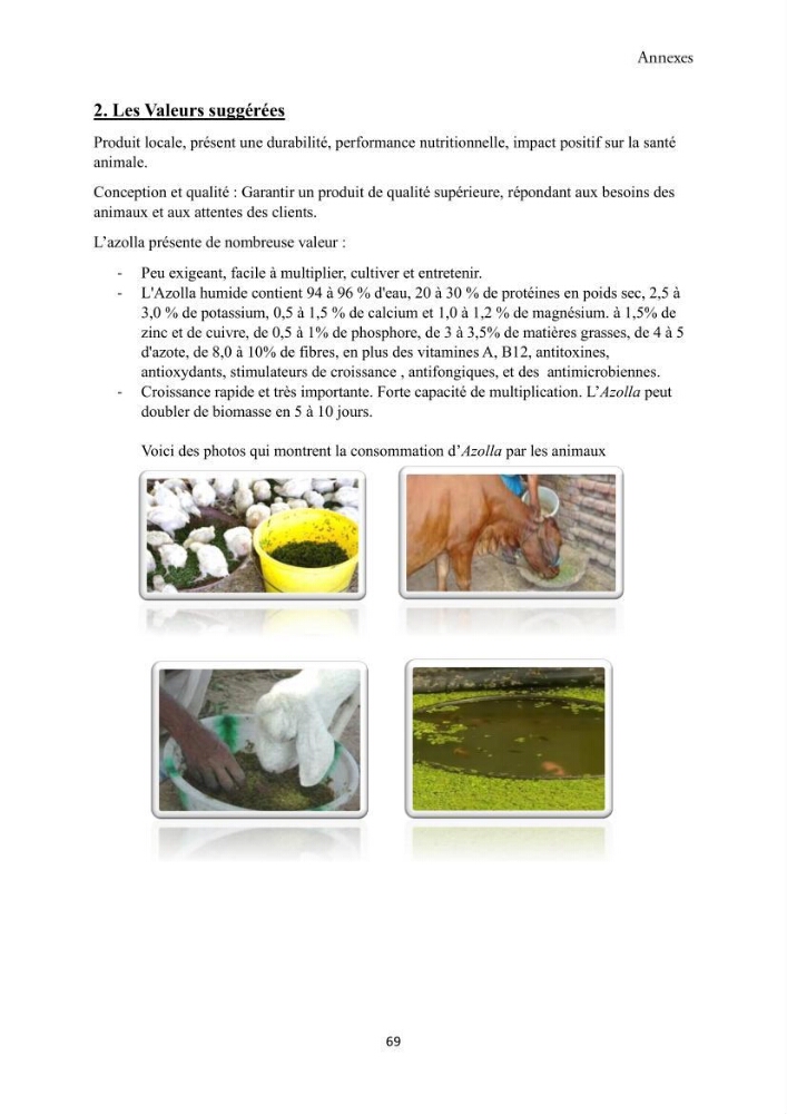 Détermination des propriétés antioxydantes et antimicrobiennes d\'une plante aquatique l’Azolla pinnata en vue de sa valorisation