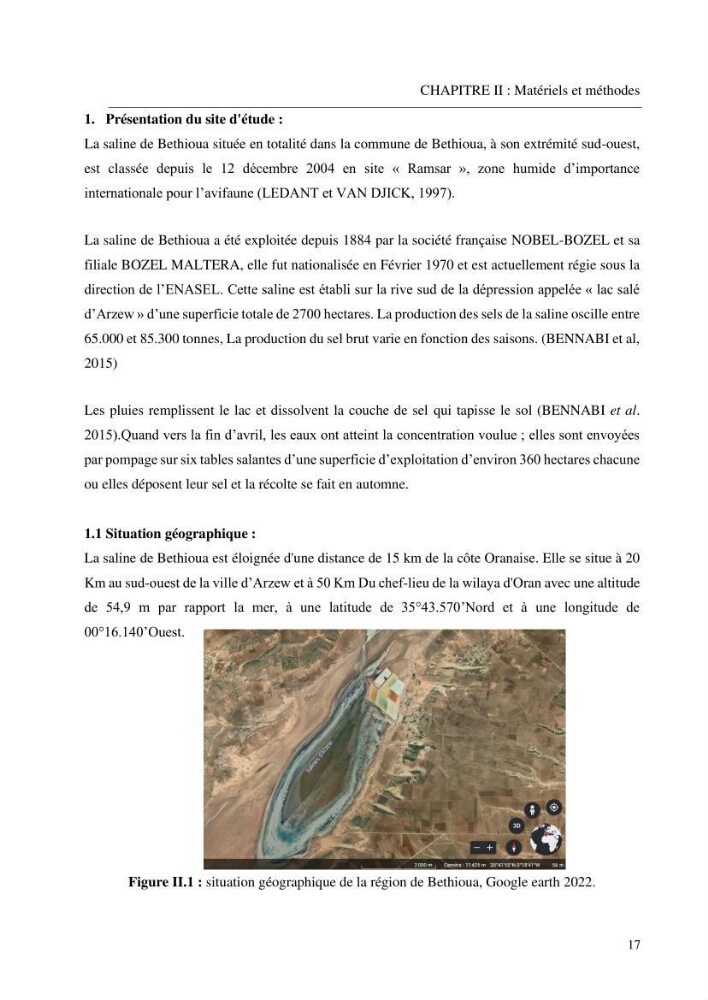 Estimation de la croissance d’Artemia salina en élevage