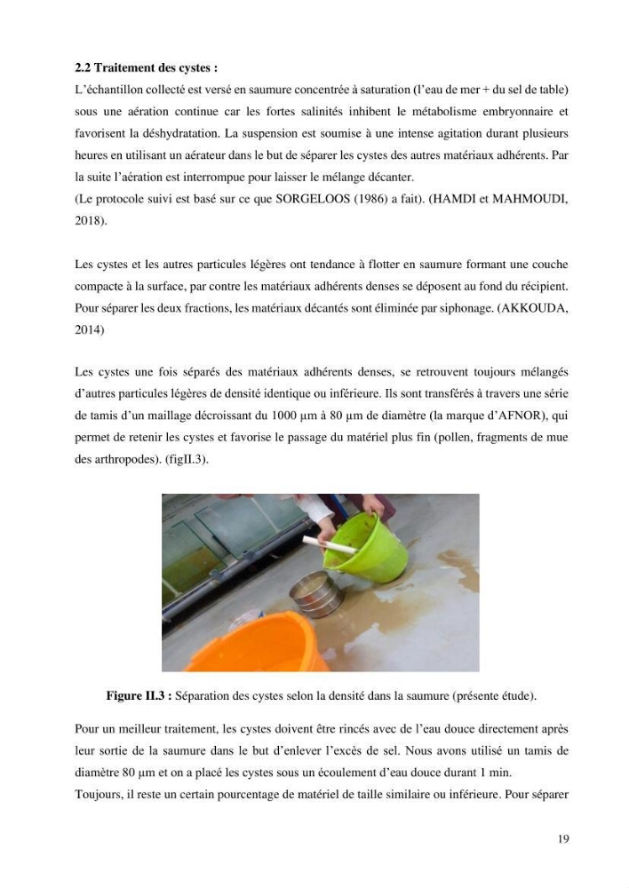 Estimation de la croissance d’Artemia salina en élevage