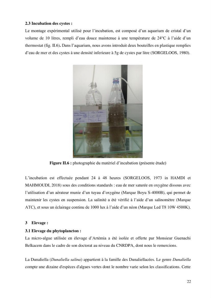 Estimation de la croissance d’Artemia salina en élevage