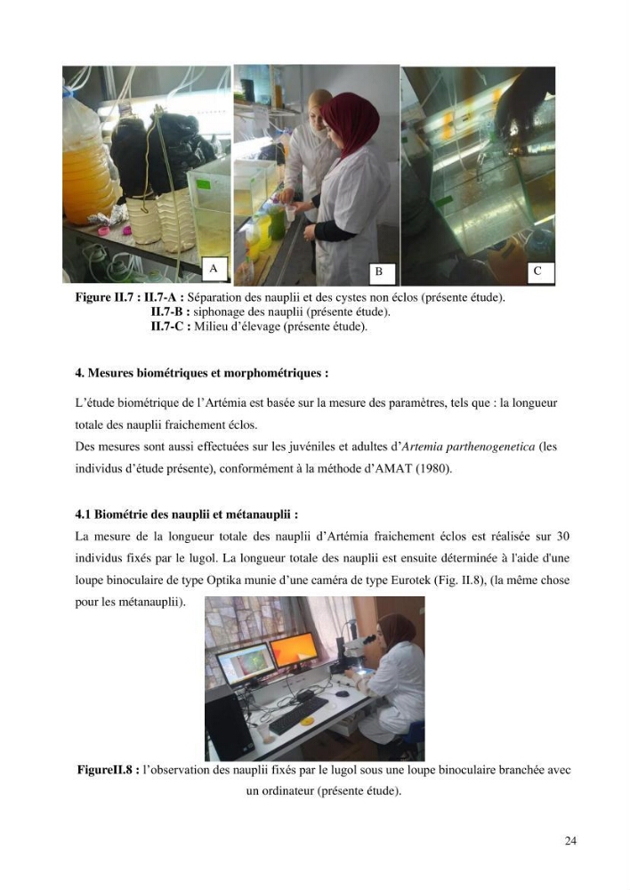 Estimation de la croissance d’Artemia salina en élevage