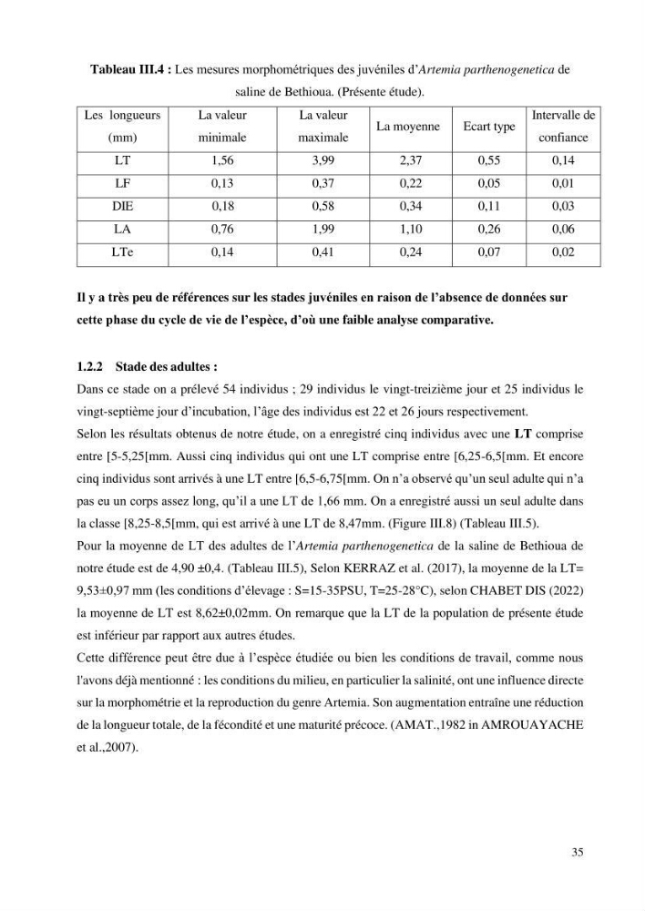 Estimation de la croissance d’Artemia salina en élevage