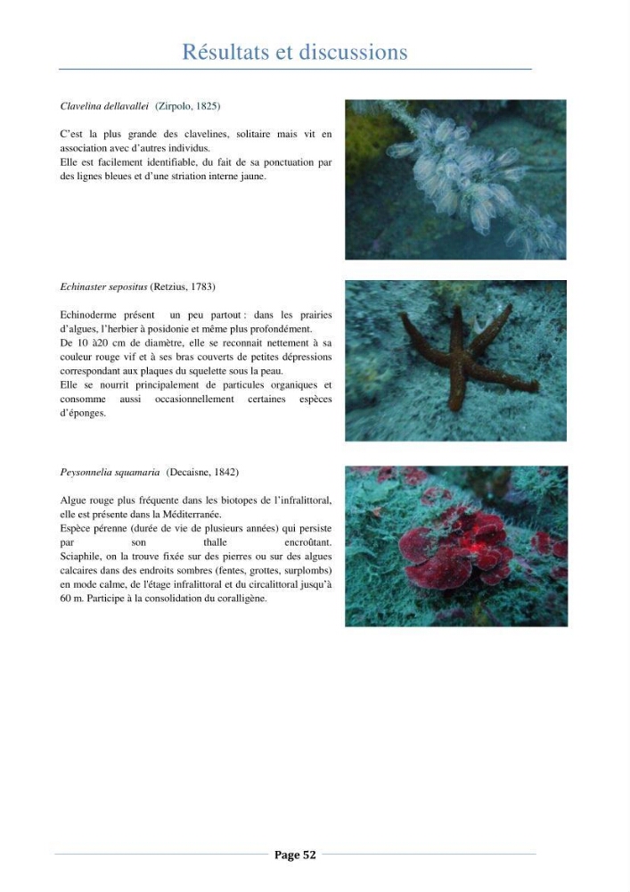 Essai d\'élaboration de la carte de sensibilité écologique de la wilaya de Béjaia
