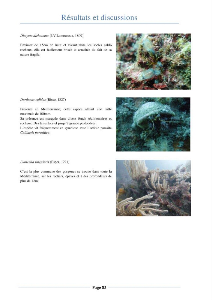 Essai d\'élaboration de la carte de sensibilité écologique de la wilaya de Béjaia