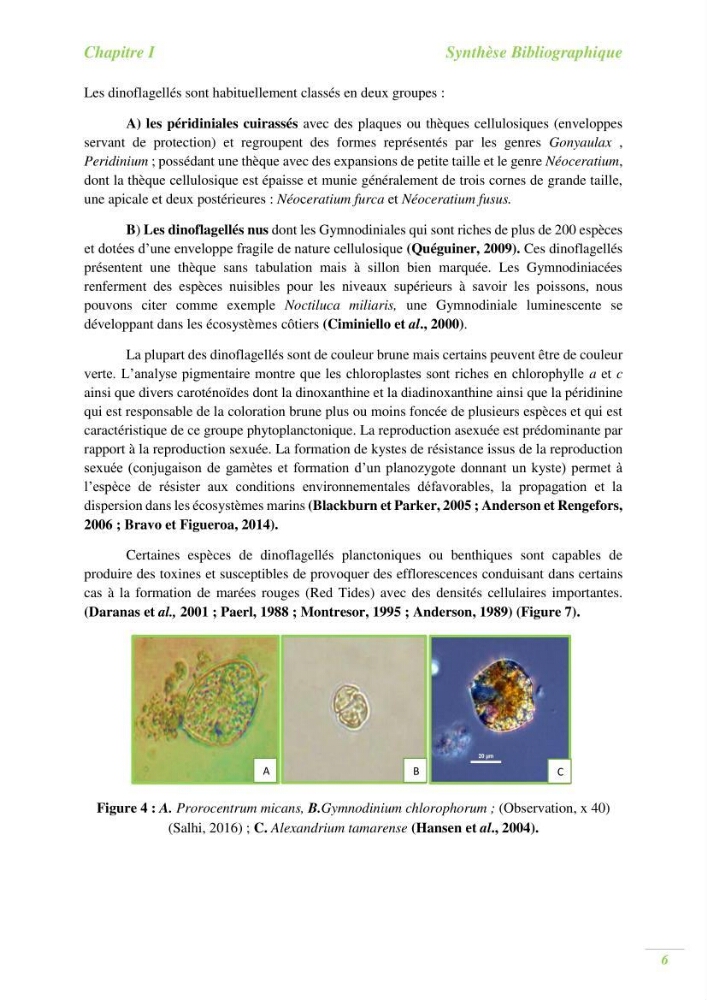 Contribution a l\'étude du phytoplancton toxique et/ou nuisible au niveau d\'une ferme conchylicole: cas de la ferme \"Orcamarine\" Ain Taya