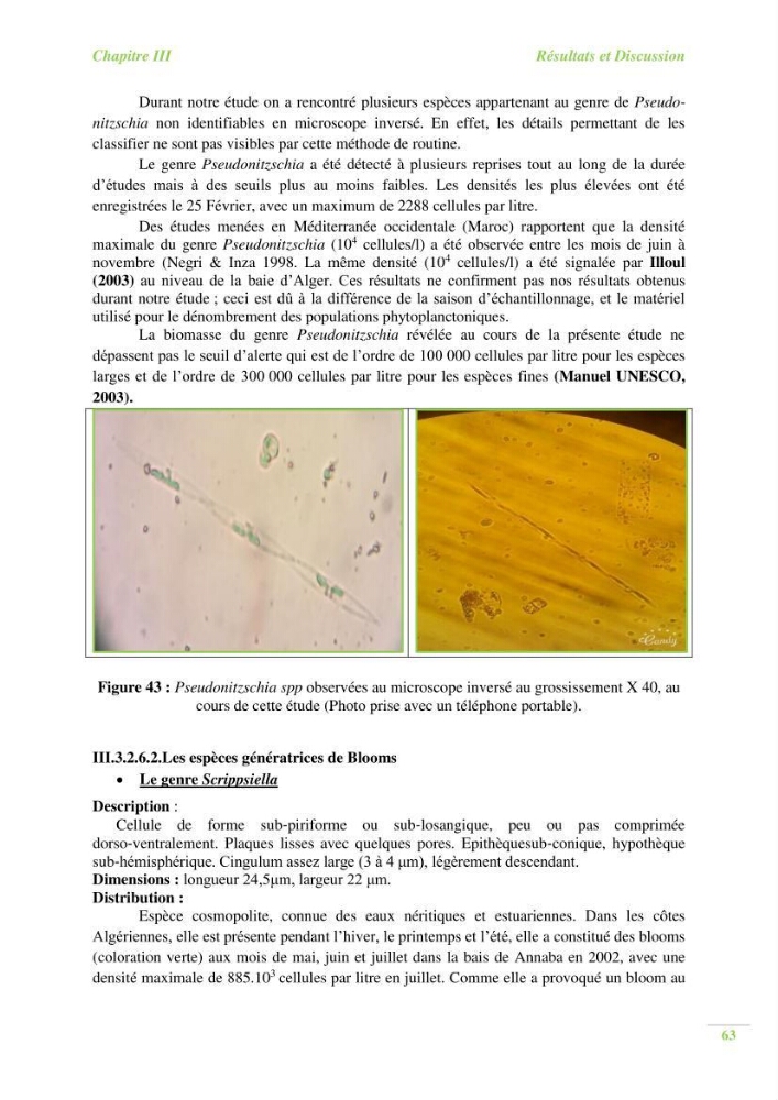 Contribution a l\'étude du phytoplancton toxique et/ou nuisible au niveau d\'une ferme conchylicole: cas de la ferme \"Orcamarine\" Ain Taya